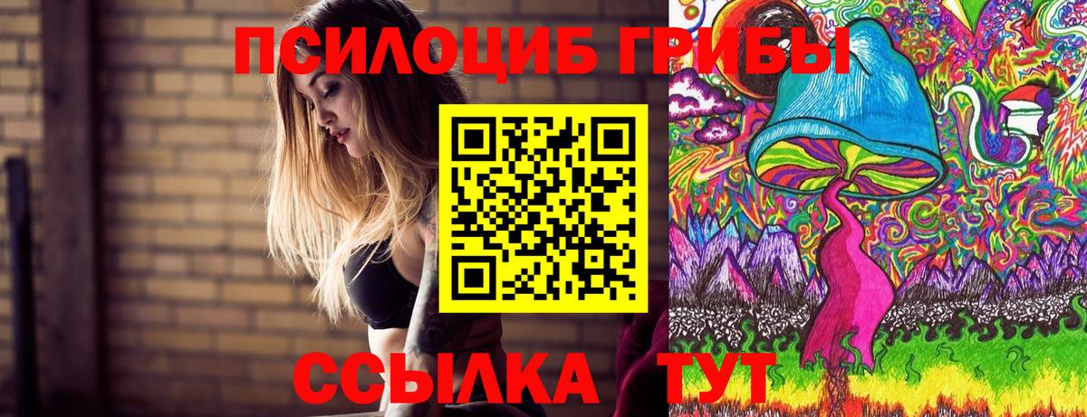 Галлюциногенные грибы мицелий Кандалакша