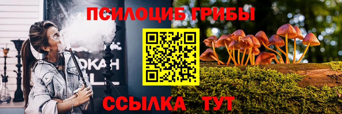 Кандалакша  Псилоцибиновые грибы мицелий  Псилоцибиновые грибы мухоморы  Вход с VPN 